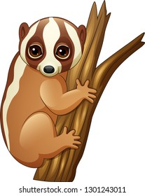 Cartoon slow loris on the branch 