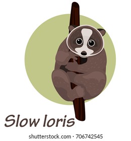 Cartoon slow loris on a tree vector illustration.