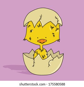 Cartoon small chick in egg (vector)