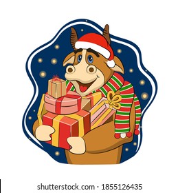 Cartoon smiling bull or ox wearing a santa hat and scarf  with a gifts on star background. Vector illustration of funny animal. Symbol of 2021. Isolated on white. 