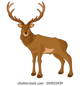 Cartoon smiling deer