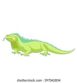 Cartoon smiling Iguana
