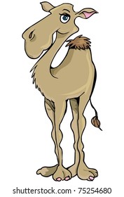Cartoon smiling one hump Camel isolated on white