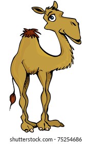 Cartoon smiling one hump Camel isolated on white