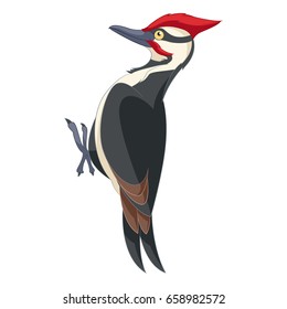 Cartoon smiling woodpecker