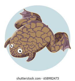 Cartoon smiling Xenopus