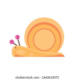 cartoon snail icon over white background, flat detail style, vector illustration