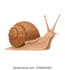 A cartoon snail with a large brown shell and long antennae, slowly moving on a white background.