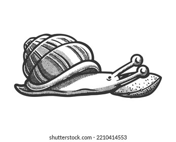 cartoon snail sleeping on pillow sketch engraving vector illustration. Scratch board imitation. Black and white hand drawn image.
