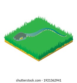 Cartoon snake icon. Isometric illustration of cartoon snake vector icon for web
