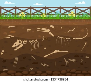 Cartoon Soil Layers with Dead Animals Card Background Archeology Bones Elements Scene Concept Flat Design. Vector illustration