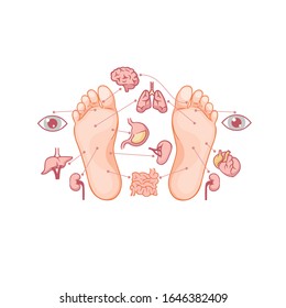 Cartoon soles of feet with marked by reflexology zones for acupuncture organs vector graphic illustration. Acupressure human foot point alternative medicine concept isolated on white background