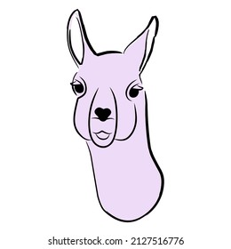 Cartoon south american animal guanaco