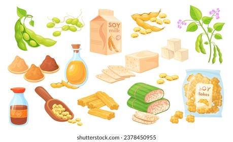 Cartoon soy food. Soybean cooking ingredients, tofu skin tempeh soya beans edamame sprout plant miso paste sauce milk protein nutrition, organic product neat vector illustration of soy or soybean