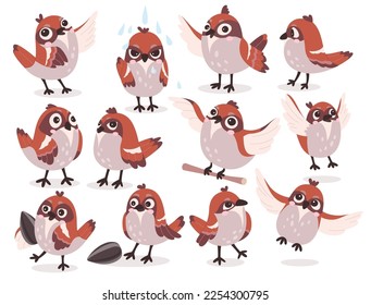 Cartoon sparrows flat icons set. Cute small bird with short bill, and brown, white and gray feathers. Spring town bird with seed and branch. Color isolated illustrations