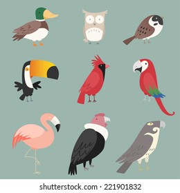 Cartoon species Bird collection. With nine different birds species like: duck, owl, peacock, rooster, pelican, toucan and swan vector illustration birds. 