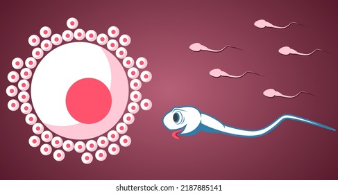 La célula de caricatura Sperm se lanza hacia el óvulo.