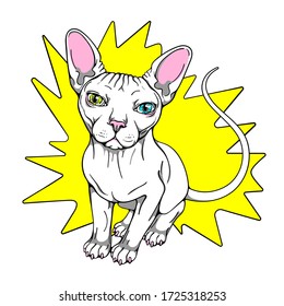 Cartoon sphynx cat with eyes of different colors. Stylish image for printing on any surface