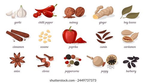 Cartoon spices. Flat dry herbs and condiments for cooking, different seeds and leaves of asian and indian cuisine. Vector isolated set. Aromatic flavors for food seasoning collection