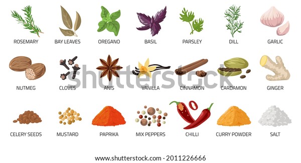 Cartoon\
spices. Food and dishes seasoning. Dry condiment. Chilli pepper and\
anise. Ginger root. Cardamom or curry powder. Oregano and basil.\
Vector salt or spicy cooking ingredient\
set
