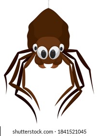 Cartoon spider with brown body, hanging off its silk thread, isolated over white background.