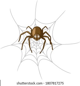 Araña de caricatura en telaraña aislada sobre fondo blanco