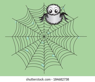 cartoon spider on the web