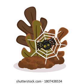 Cartoon Spider on white background