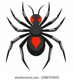 Cartoon spider tarantula.Colorful poisonous insect . Suitable for children's books on biology, sticker, mascot, logo.Vector illustration top view on white background.