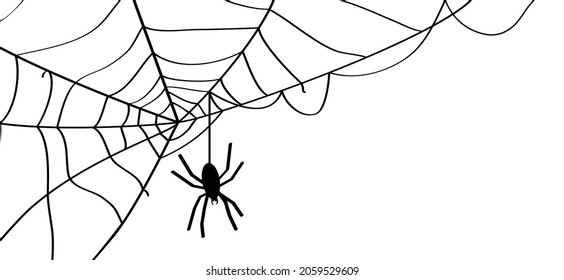 Cartoon spider web for happy halloween party, october. Flat vector cobweb background. insect pictogram or logo. Drawing  line pattern.