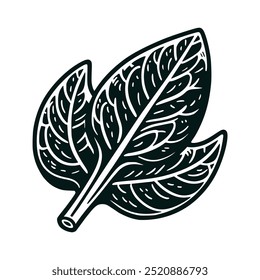 cartoon spinach vegetable doodle hand drawn vector illustration template design