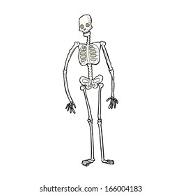 Cartoon-Löffelskelett