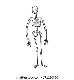 cartoon spooky skeleton