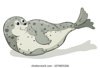 cartoon spotted seal vector image, hand-drawn illustration