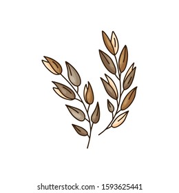 Cartoon sprigs of oats. Hand drawn vector icon. Color rustic illustration for logo, print, poster and packaging design. Isolated doodle image of wheat ears on white background