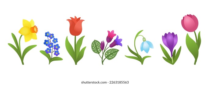 Cartoon spring flowers isolated on white background. Bright floral design. Early springtime flower bloom. Crocus, snowdrop, daffodil, tulips, forget-me-nots, pulmonaria. Vivid colorful plant clip art.