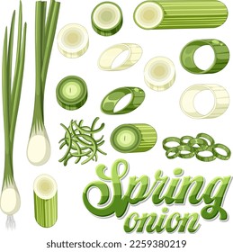 Cartoon spring onion isolated illustration