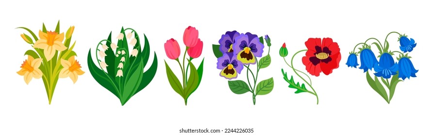 Cartoon spring wild flowers, colored floral set of spring floral and flower cartoon, blooming nature graphic illustration vector