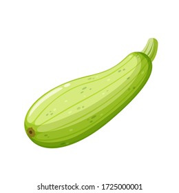 Cartoon Squash On White Background, Healthy Food, Vegetable Harvest. Vector Icon.