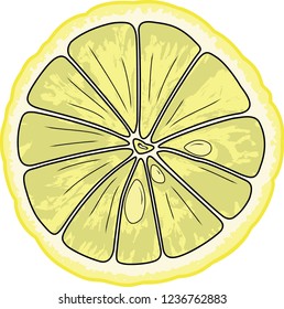 Lemon Section Vector: เวกเตอร์สต็อก (ปลอดค่าลิขสิทธิ์) 340840256