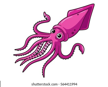 Cartoon Squid