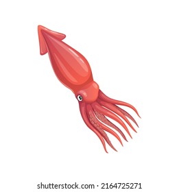 Cartoon squid vector calamari mollusk, underwater animal. Sea creature, invertebrate marine fauna inhabitant with pink skin and tentacles, isolated water life