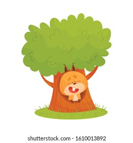 Cartoon Squirrel Animal Looking Out of Tree Hollow Vector Illustration