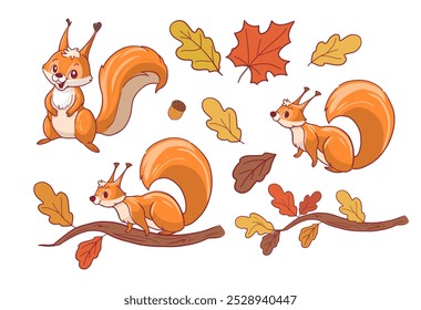 Cartoon squirrel with autumn leaves, vector illustration set