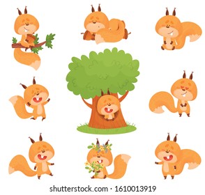 Cartoon Squirrel Character Engaged in Different Activities Vector Set