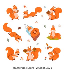 Cartoon squirrel. Forest funny squirrels in different poses. Animals sleep, storing food for winter, play and meditation. Cute nowaday vector character