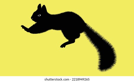 Cartoon squirrel. Funny wild animal cartoon squirrel running, standing and jumping. vector squirrel collection cartoon animal character design Isolated flat vector illustration on white background.