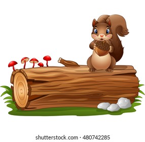 Cartoon squirrel holding acorn 