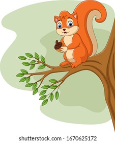 Cartoon squirrel holding pine cone on tree branch