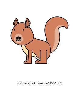 cartoon squirrel icon